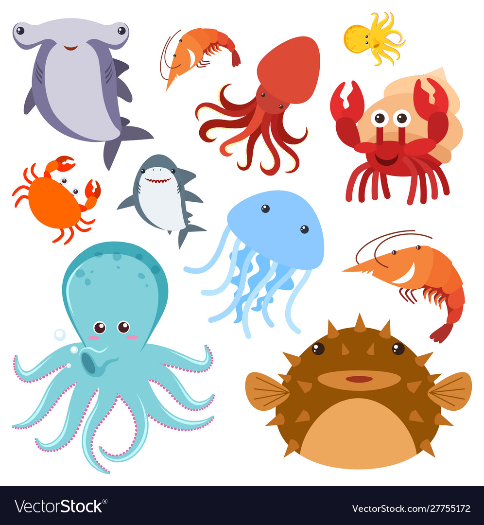 Set sea animals on white background Royalty Free Vector