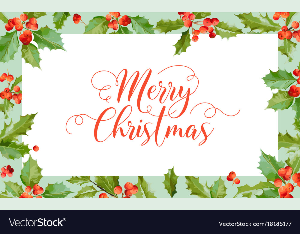 Christmas Winter Holly Berry Banner Graphic Vector Image