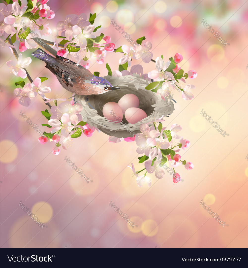 Spring Blossom with Bird and Nest