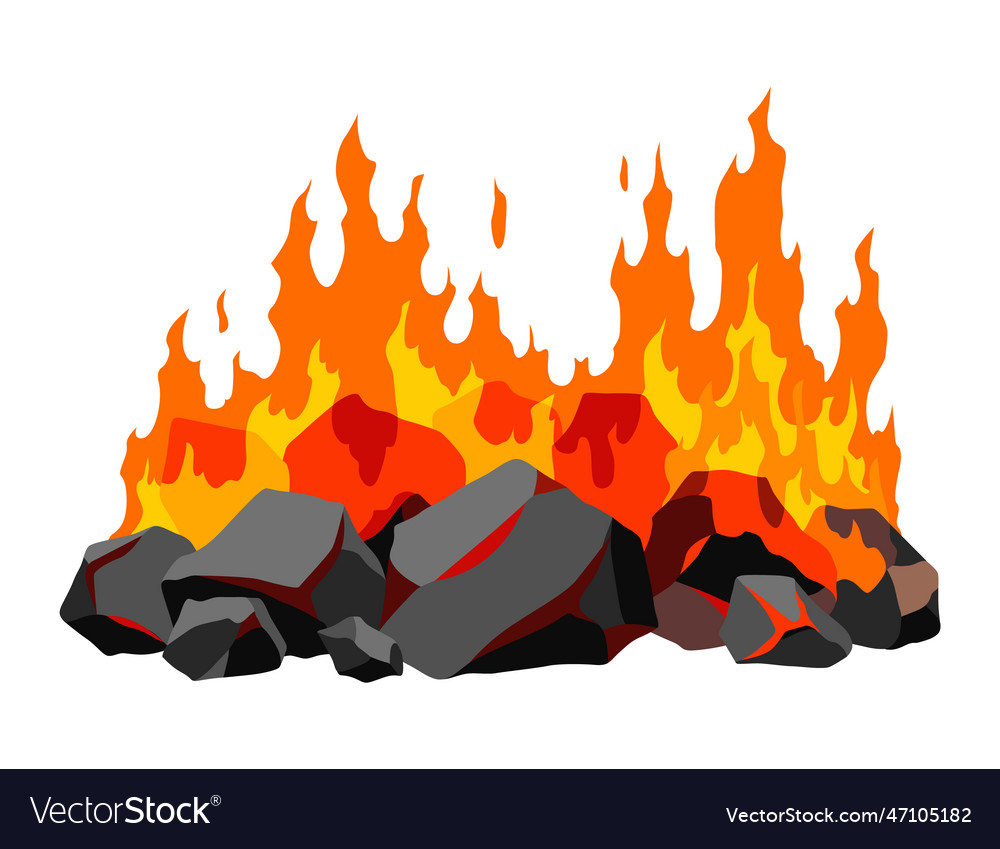 Burning coal realistic bright flame fire on coals Vector Image