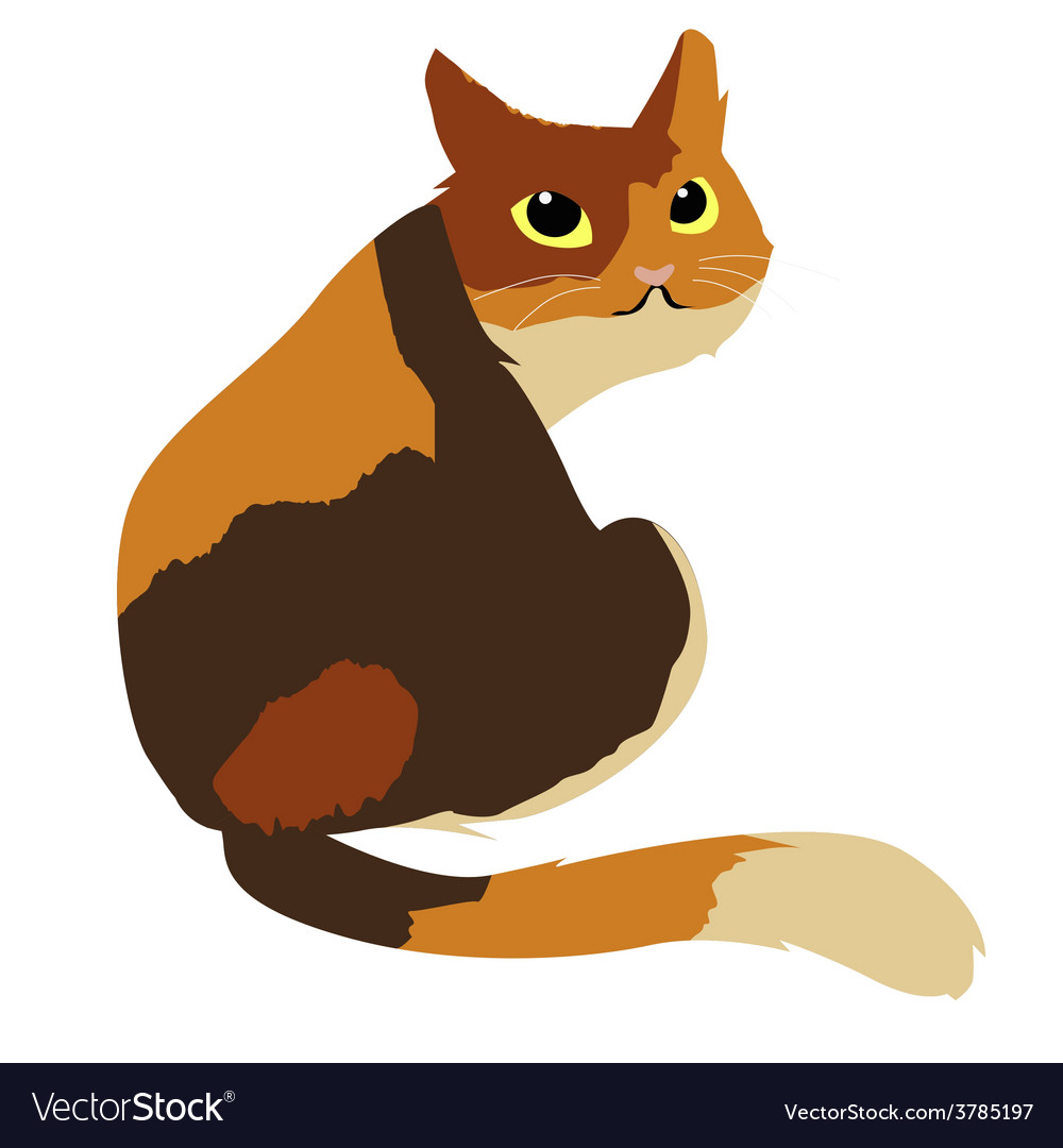 Calico Cat Icons - Free SVG & PNG Calico Cat Images - Noun Project