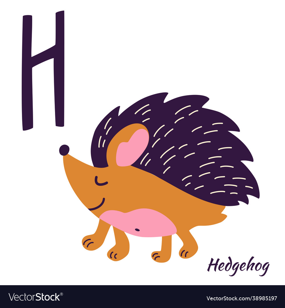 Hedgehog animal alphabet learning letter h h Vector Image