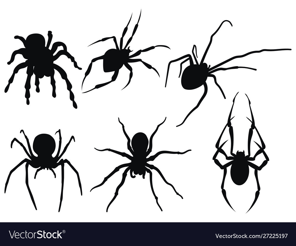 Set spiders collection black and white Royalty Free Vector