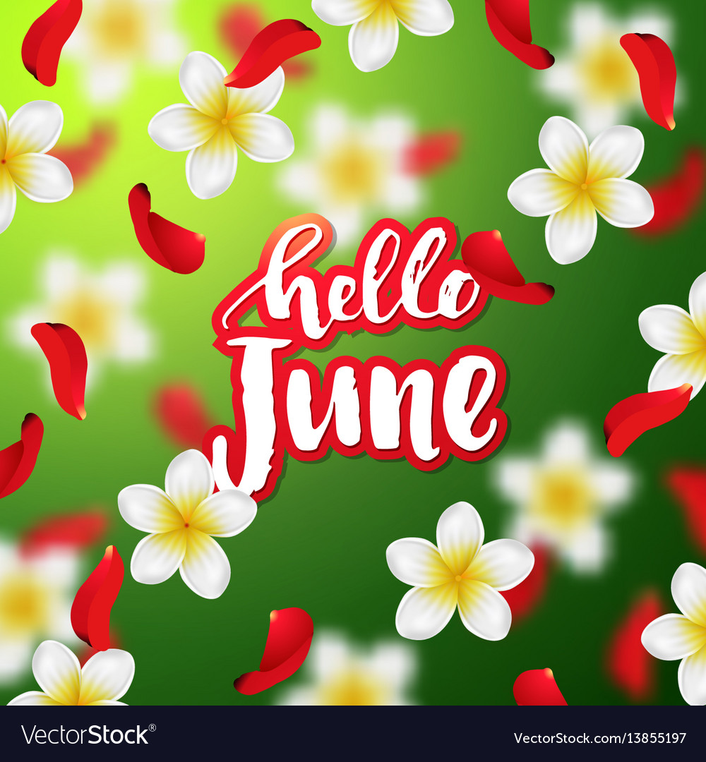 Summer or spring background with tropical flowers Vector Image