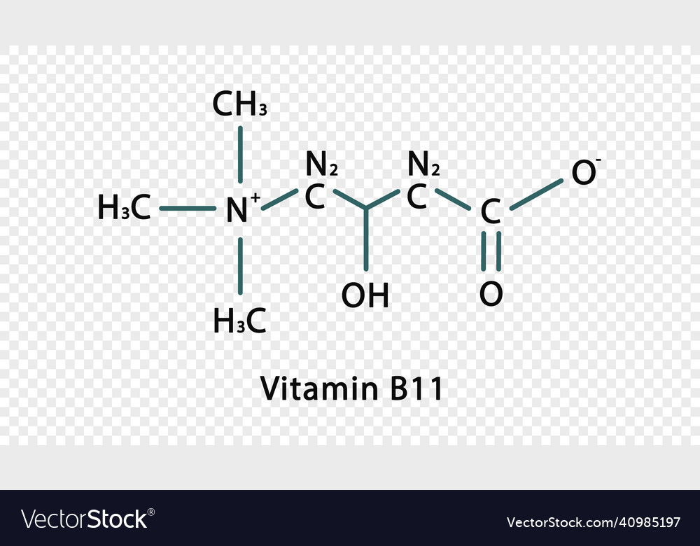 Vitamin B11 Chemical Formula B11 Royalty Free Vector Image