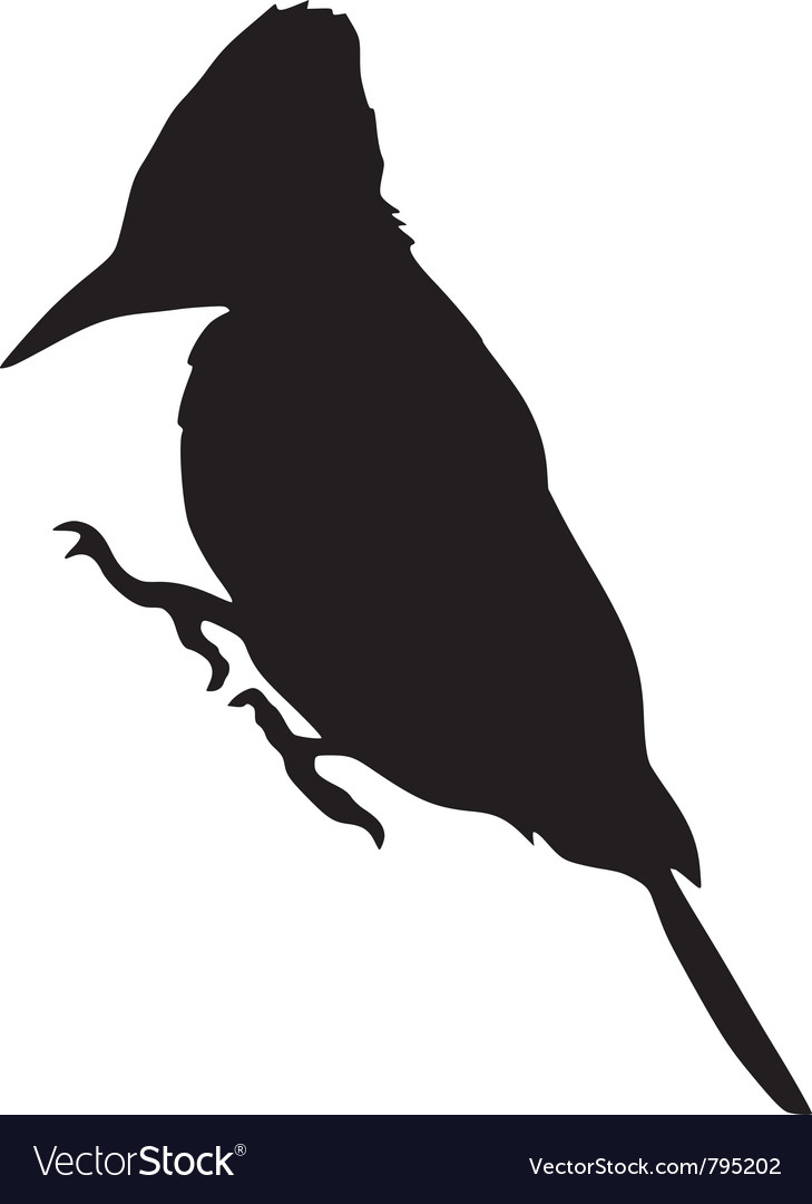 Black Woodpecker Silhouette
