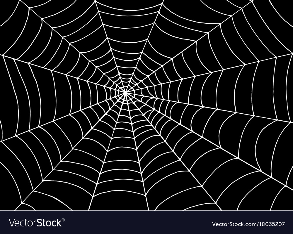 White spider web on black background 