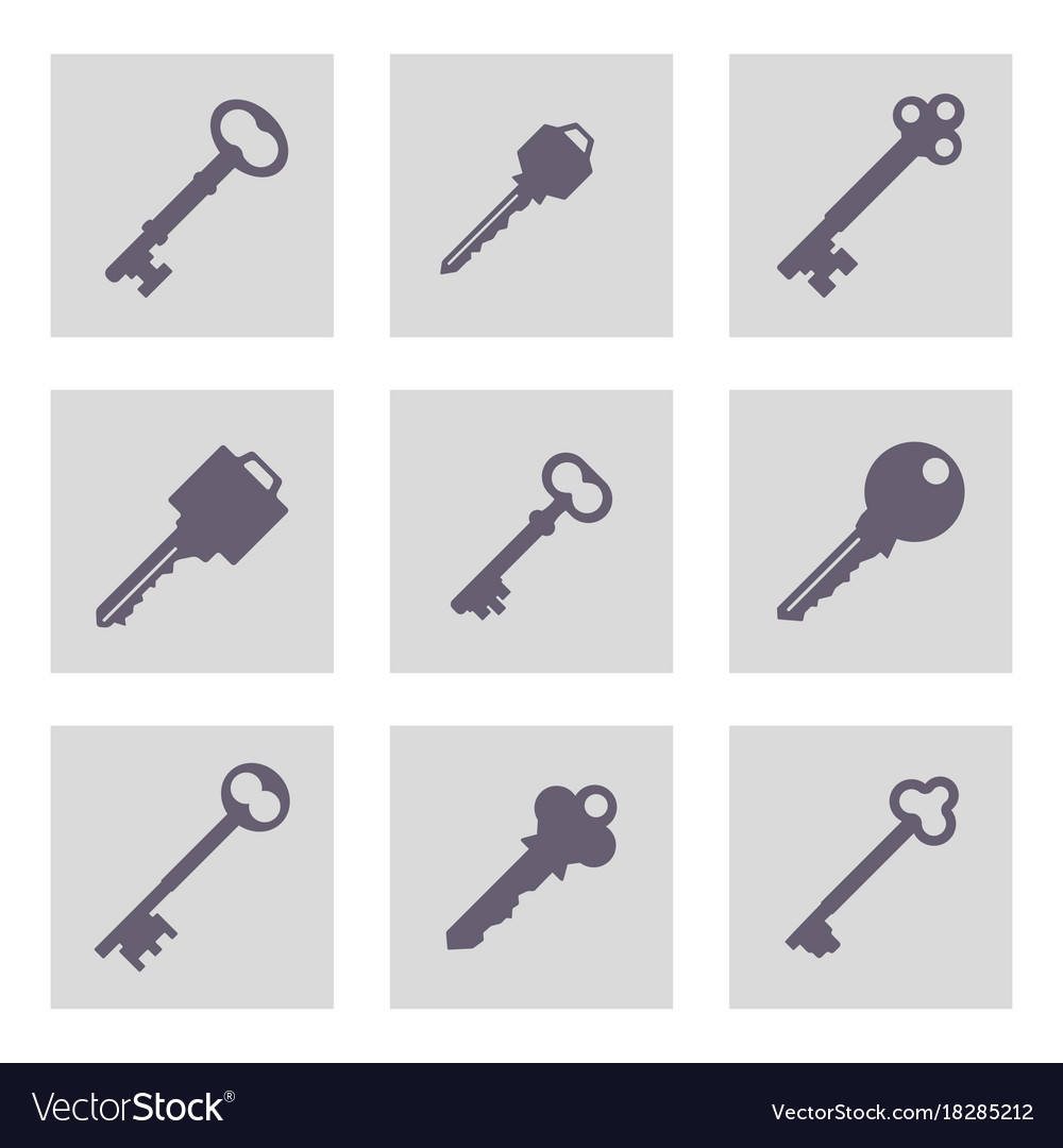Set of monochrome icons with keys