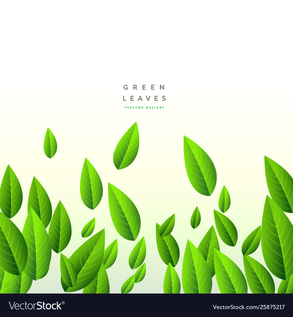 Long leave. Long leave.