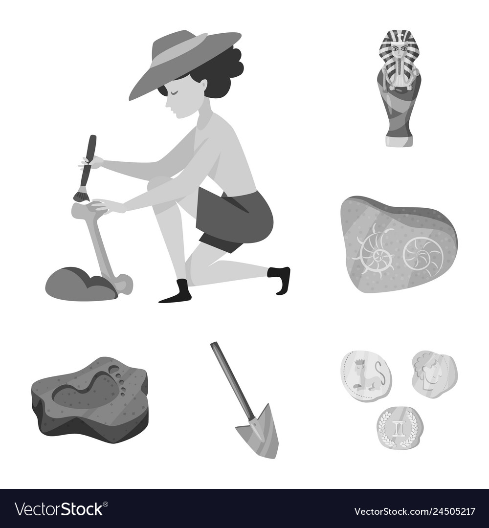 Isolated object of story and discovery symbol set vector image Isolated object of story and discovery symbol set