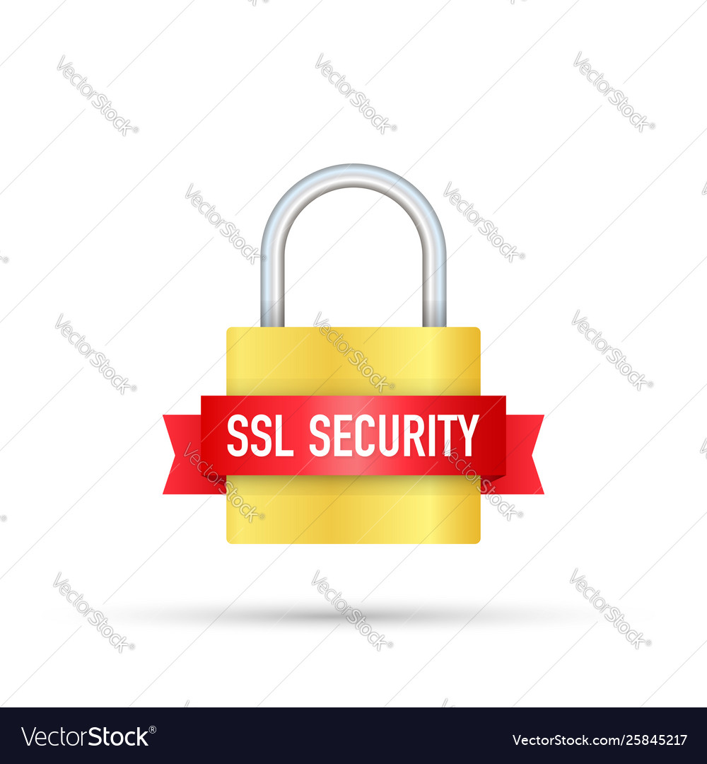 Secure connection icon isolated on white vector image Secure connection icon isolated on white