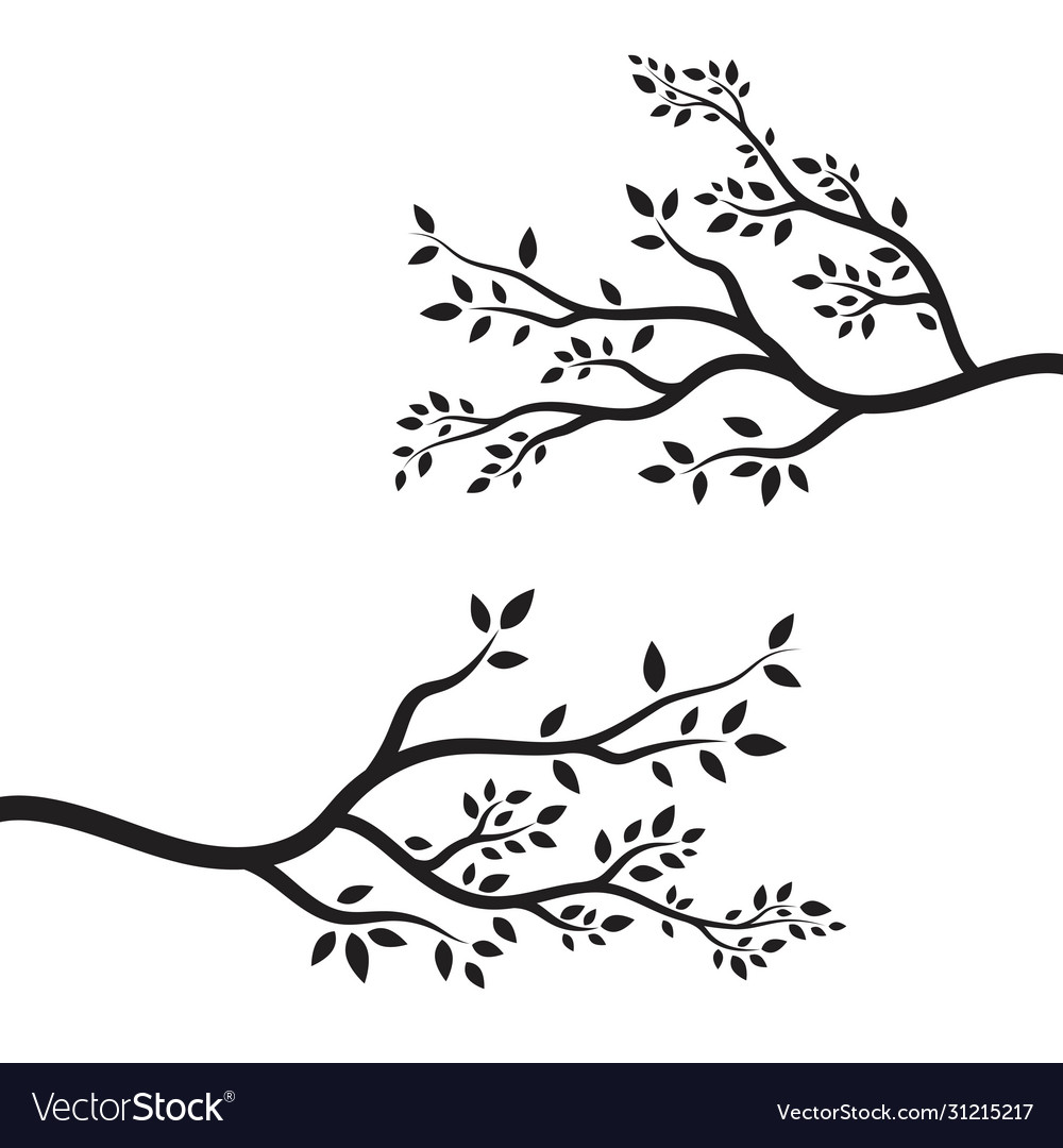 Tree branch design Royalty Free Vector Image VectorStock
