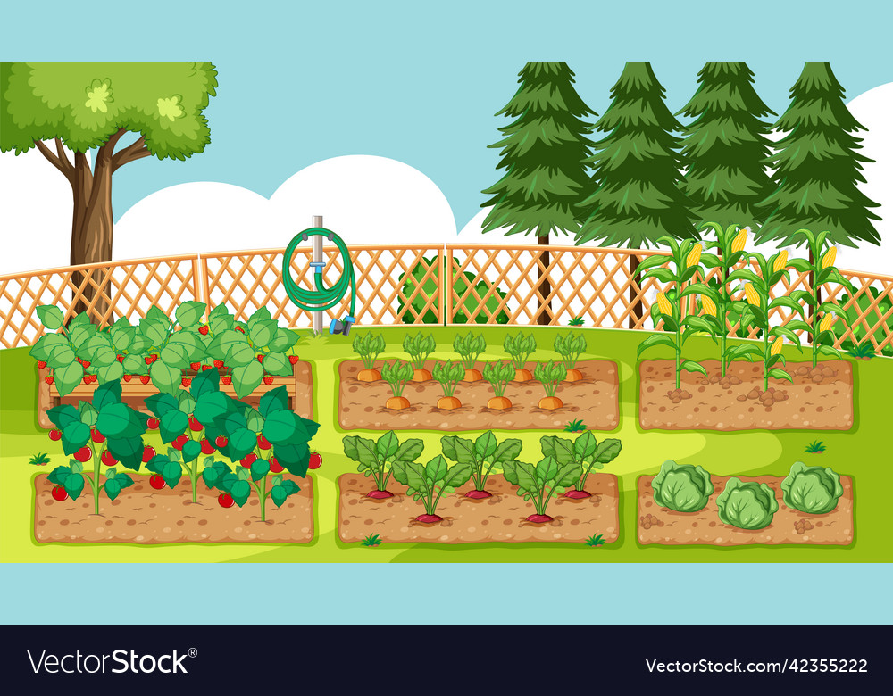 Garden scene with vegetable in ground beds