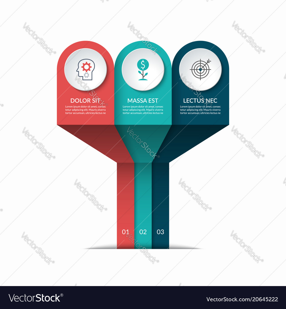 infographic template of 3 options vector image