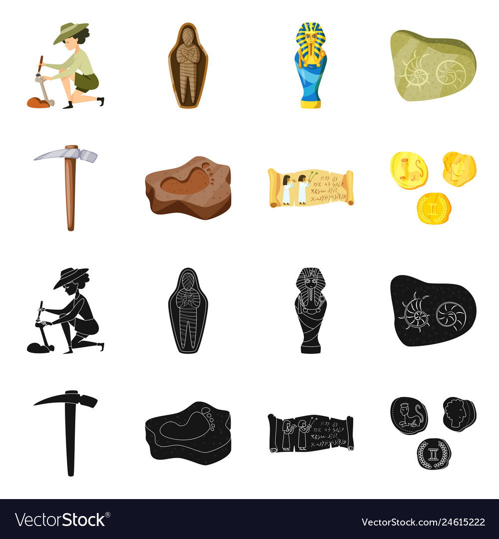 Isolated object of story and items icon vector image Isolated object of story and items icon