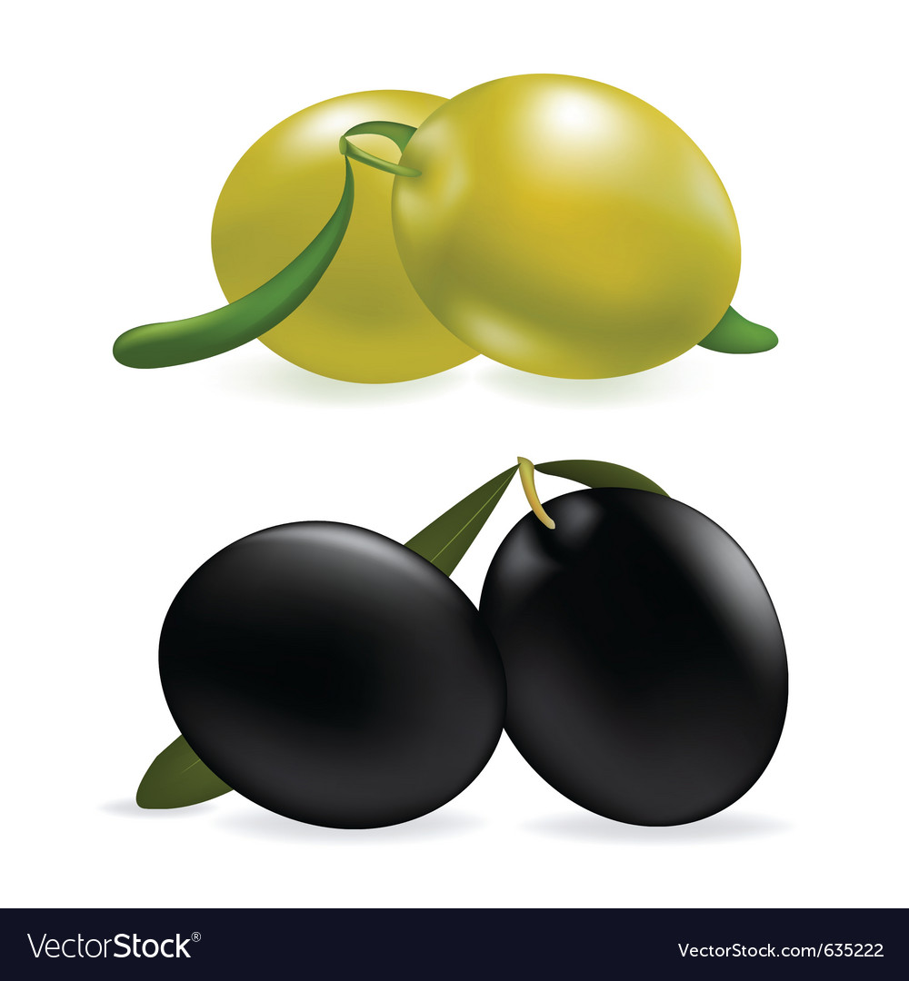 Olives Royalty Free Vector Image - VectorStock