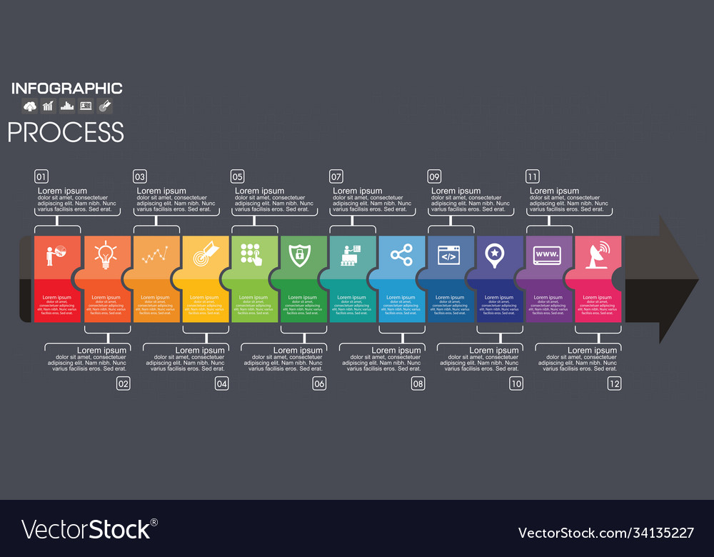 Timeline infographic chart with many color design Vector Image
