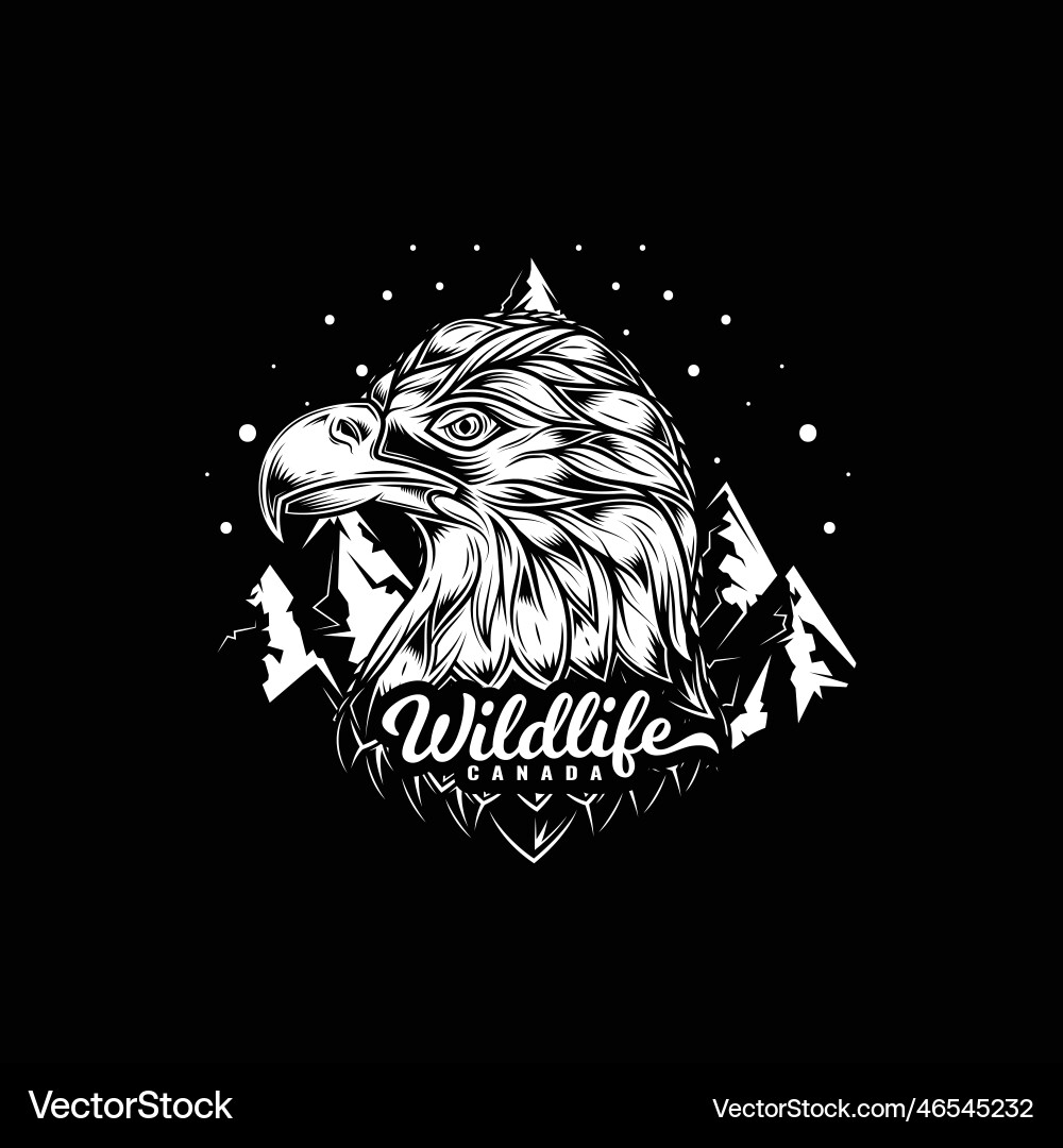 Bald eagle Royalty Free Vector Image - VectorStock