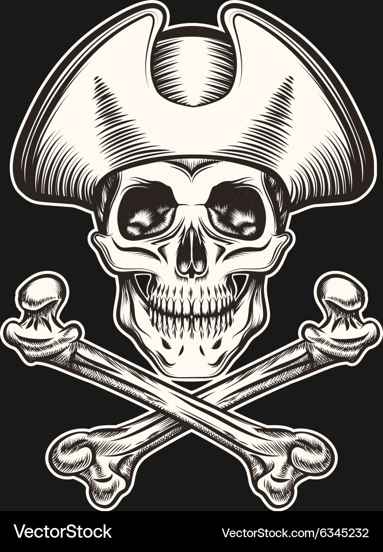Pirate skull Royalty Free Vector Image - VectorStock