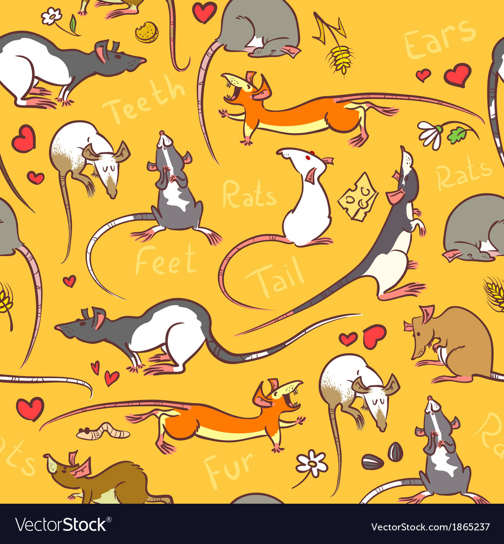 Cute rats Royalty Free Vector Image - VectorStock