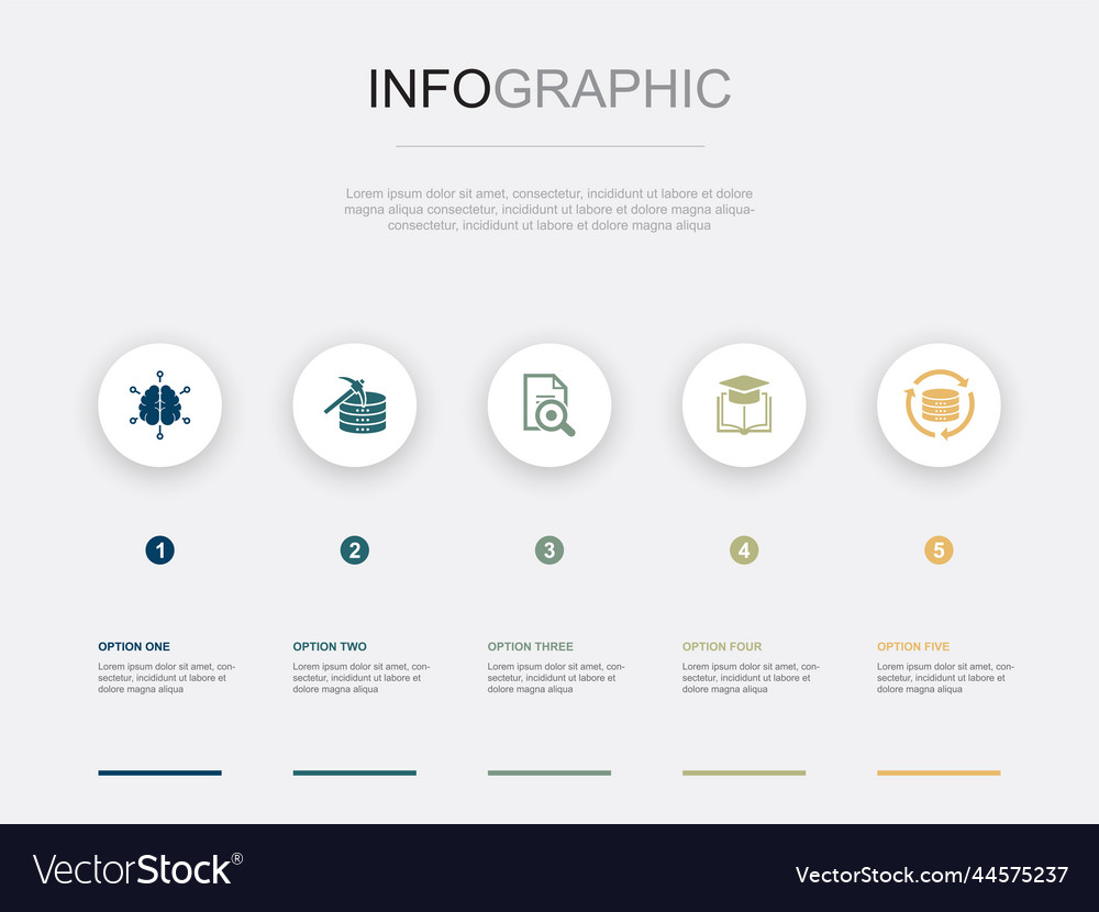 Data Insights & Analytics Infographic