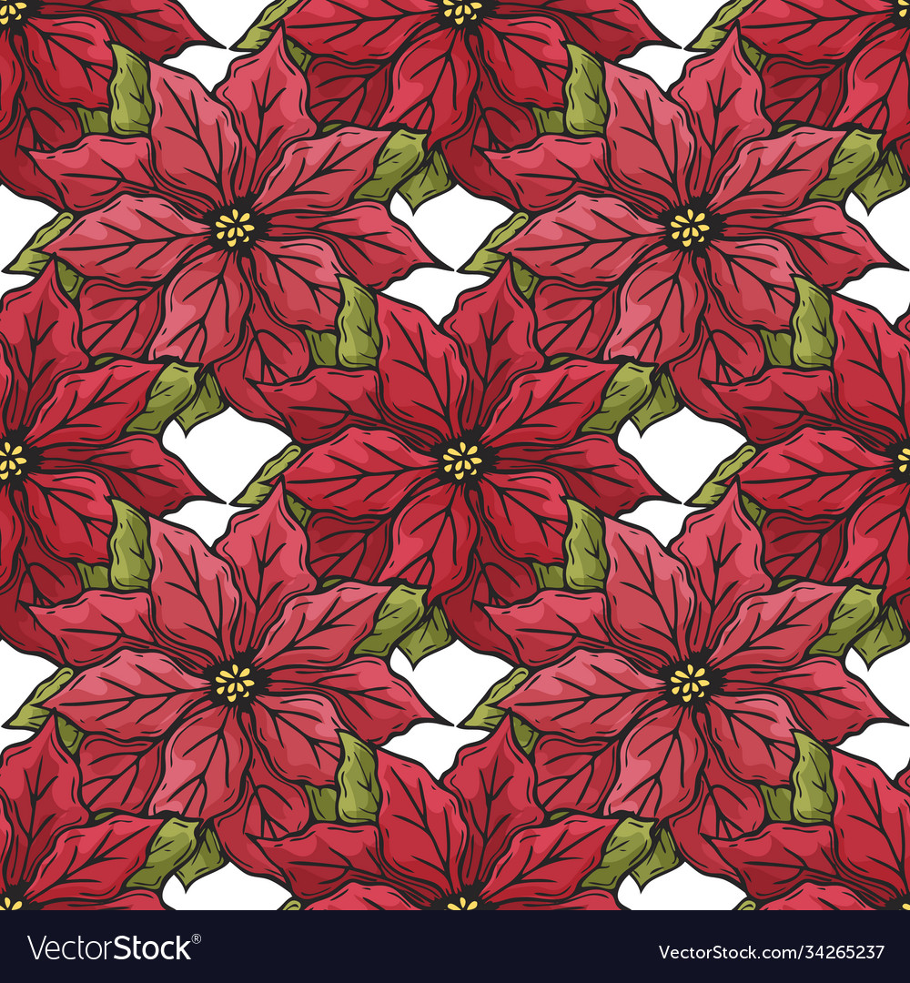 Hand drawn seamless pattern from red poinsettia