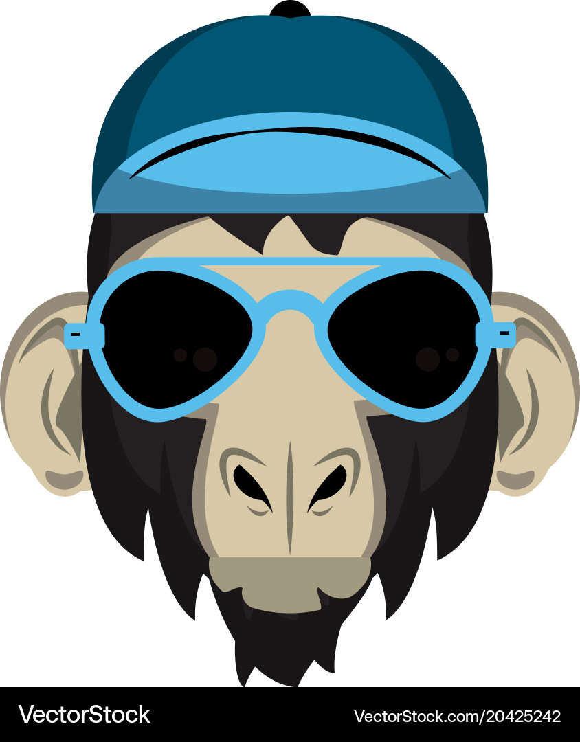 Cool hipster monkey Royalty Free Vector Image - VectorStock