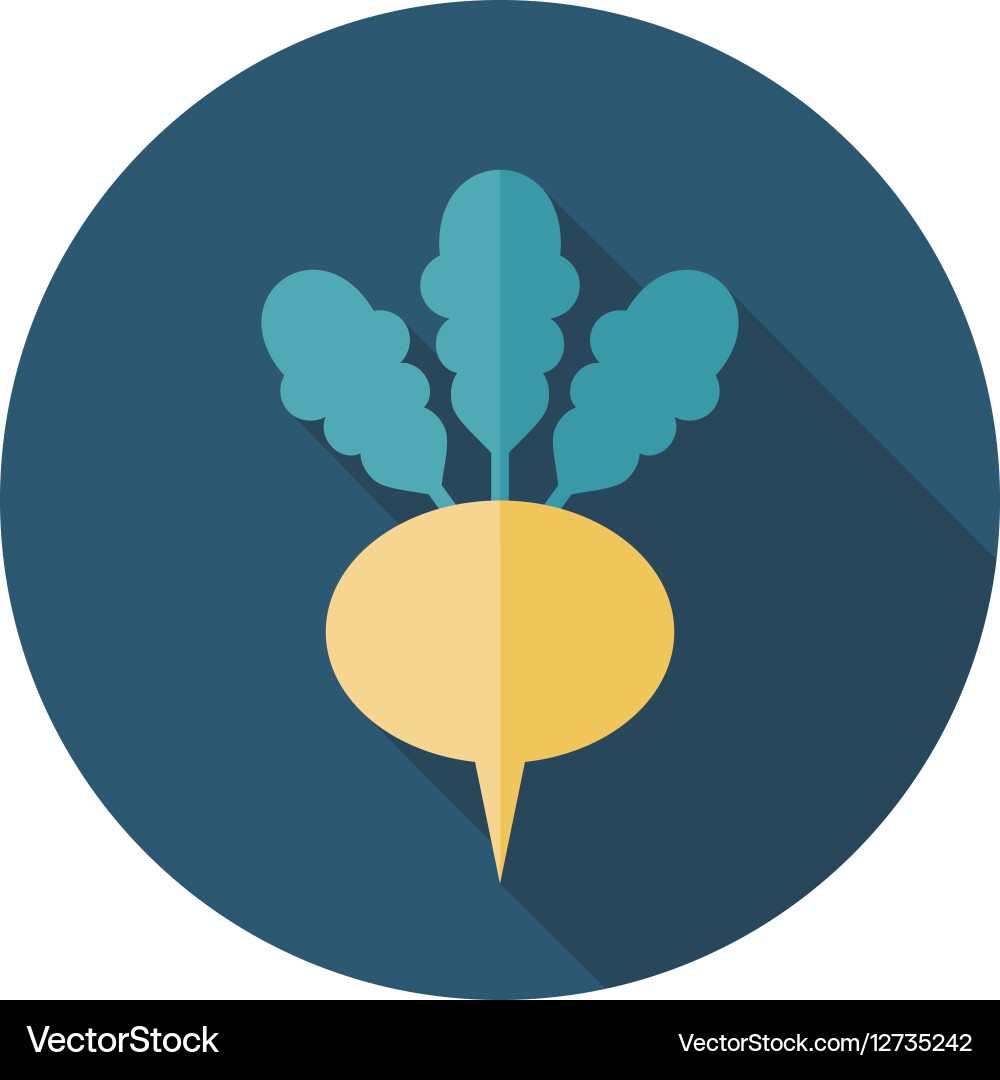 Turnip flat icon vegetable root Royalty Free Vector Image