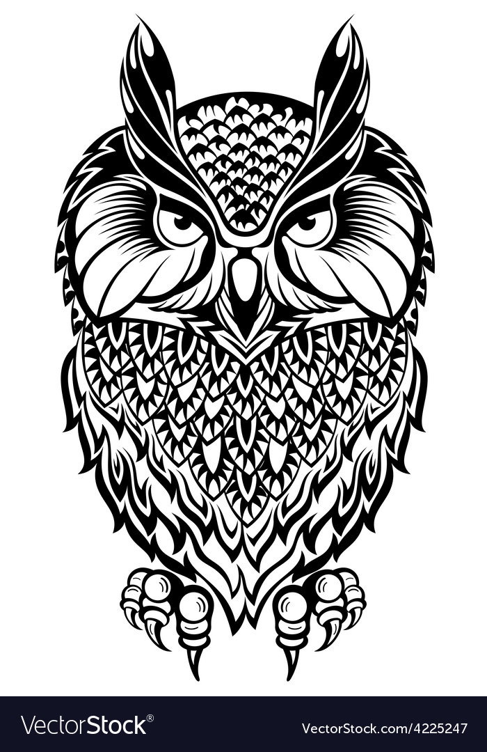 Owl Royalty Free Vector Image - VectorStock