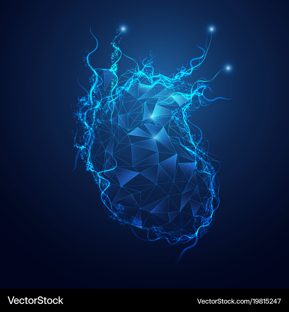 Polygon heart Royalty Free Vector Image - VectorStock