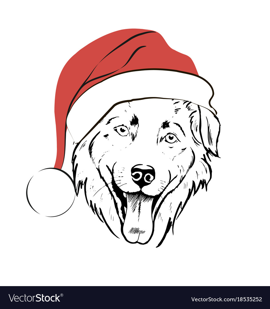 Santa hat on dog shop