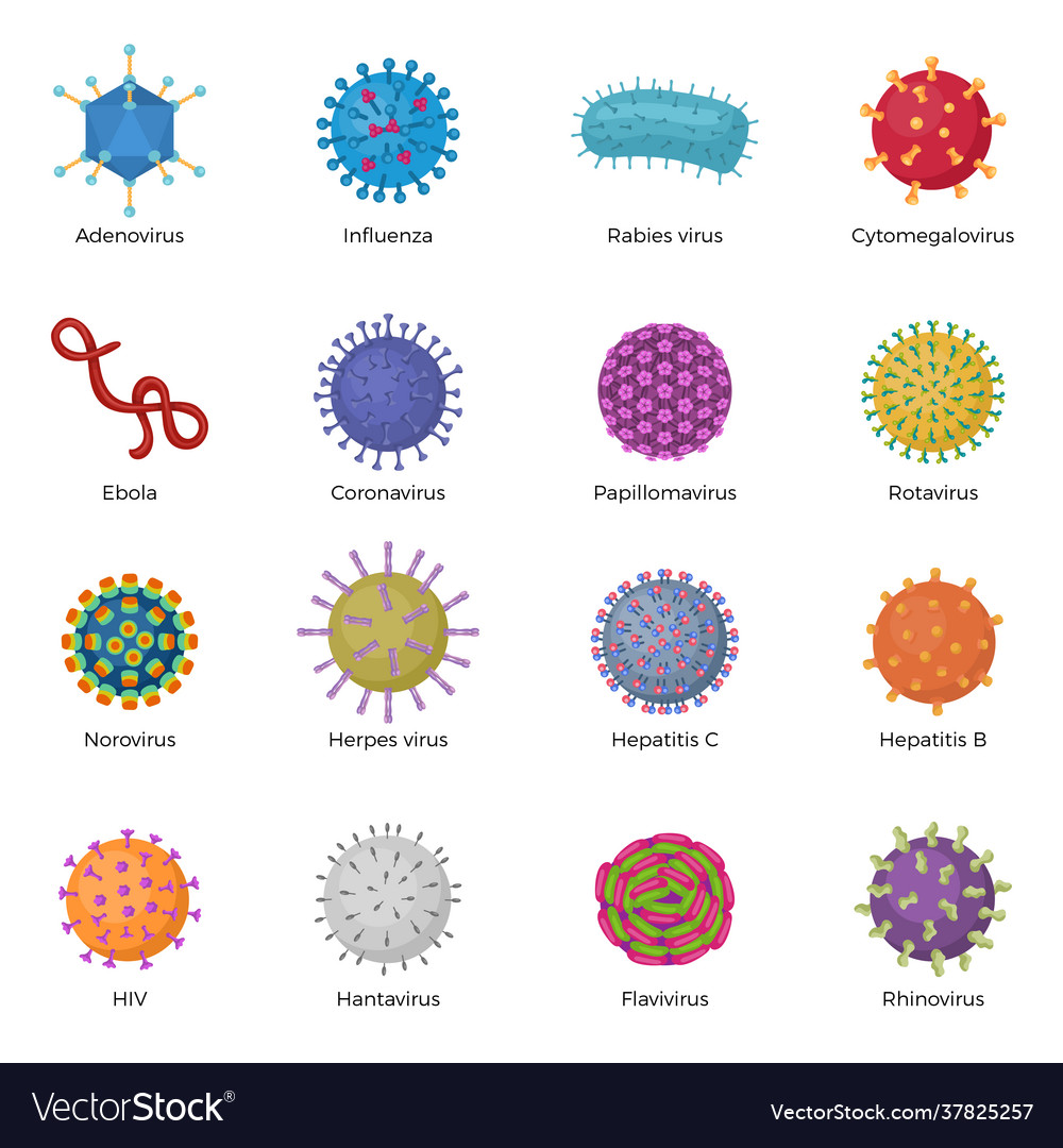 Viruses microb bacillus ebola Royalty Free Vector Image