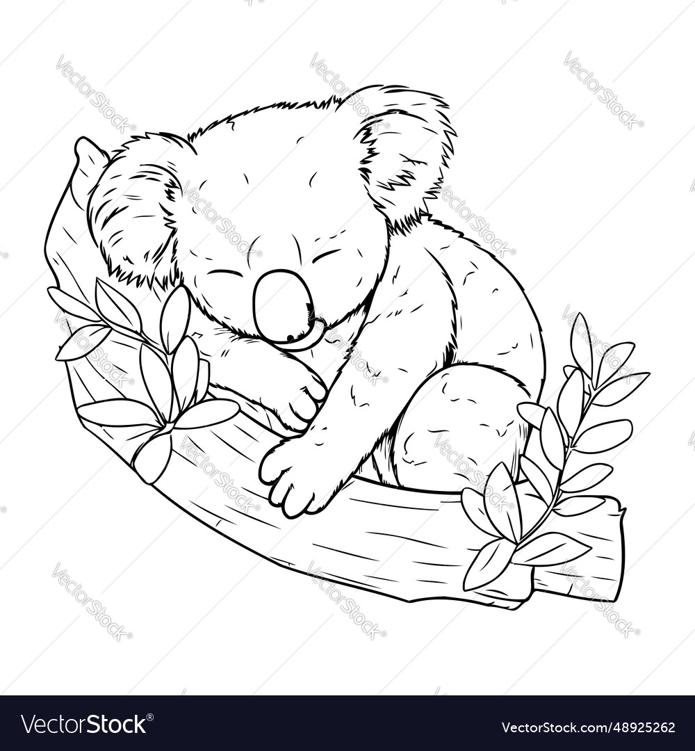 Koala sleeping on a branch with leaves