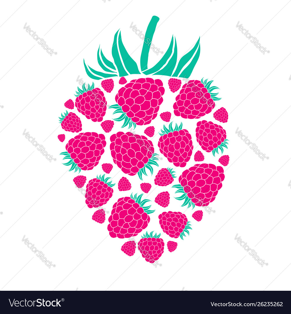 Raspberry isolated on white background