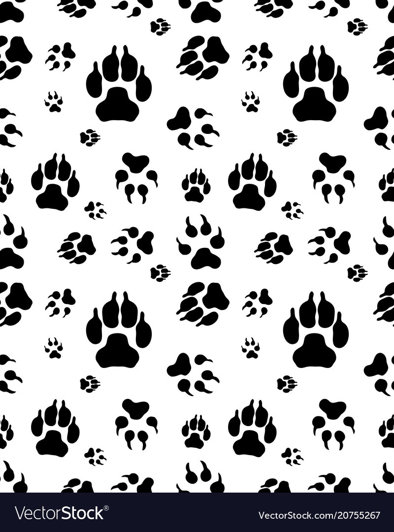 Print of dogs paws Royalty Free Vector Image - VectorStock