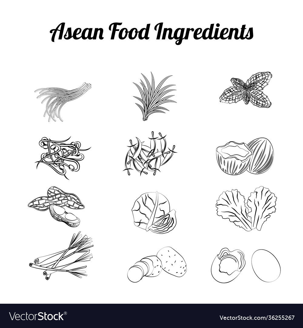 Sketch asean food elements 002