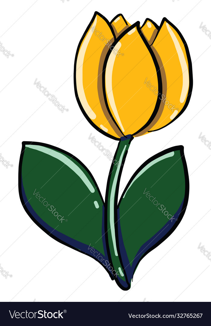 Yellow flower on white background