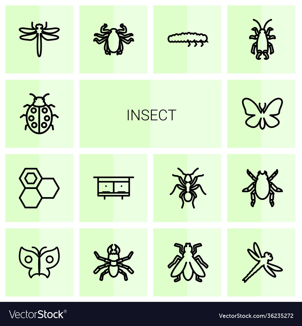 14 insect icons