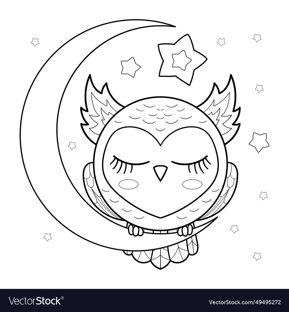 Cute owl sleeps on the moon black and white Vector Image