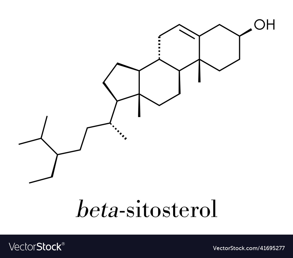 Beta-sitosterol phytosterol molecule investigated Vector Image