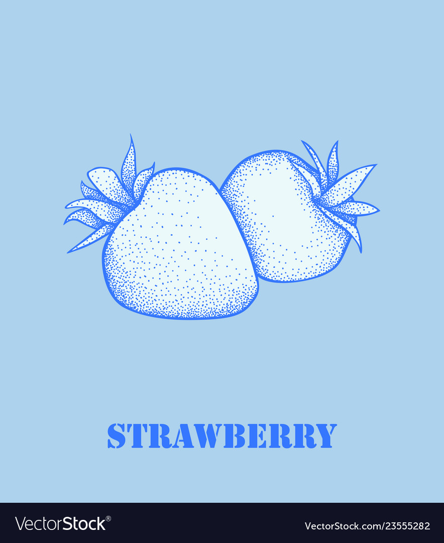 Garden strawberry fruit or strawberries vector image Garden strawberry fruit or strawberries