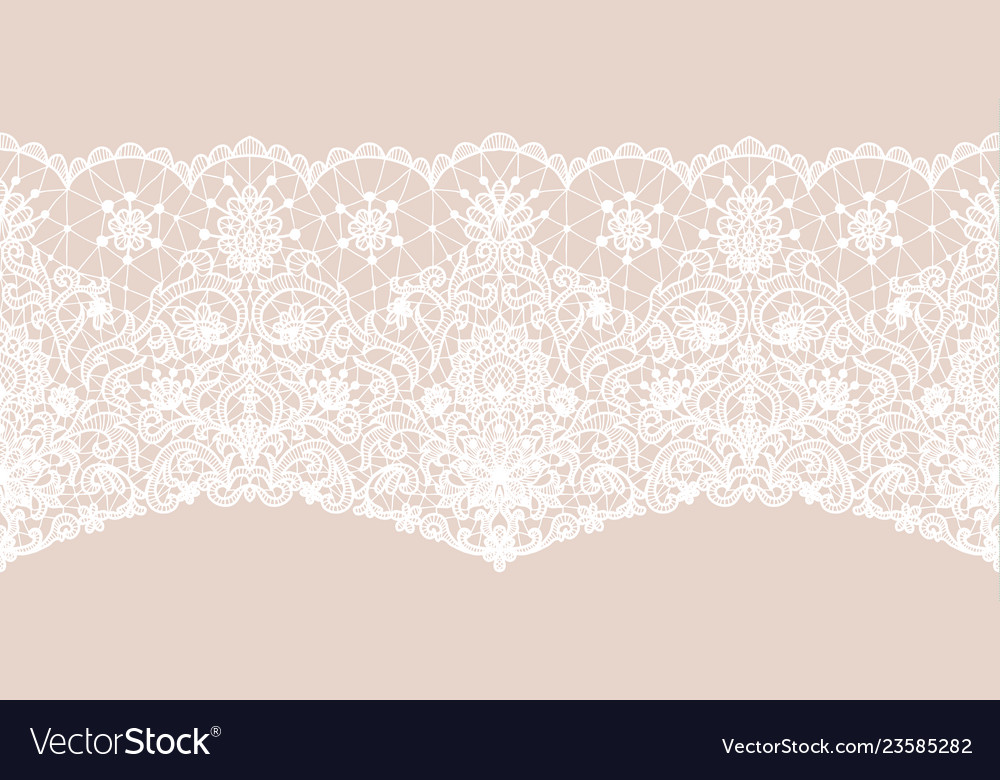Seamless white lace Royalty Free Vector Image - VectorStock