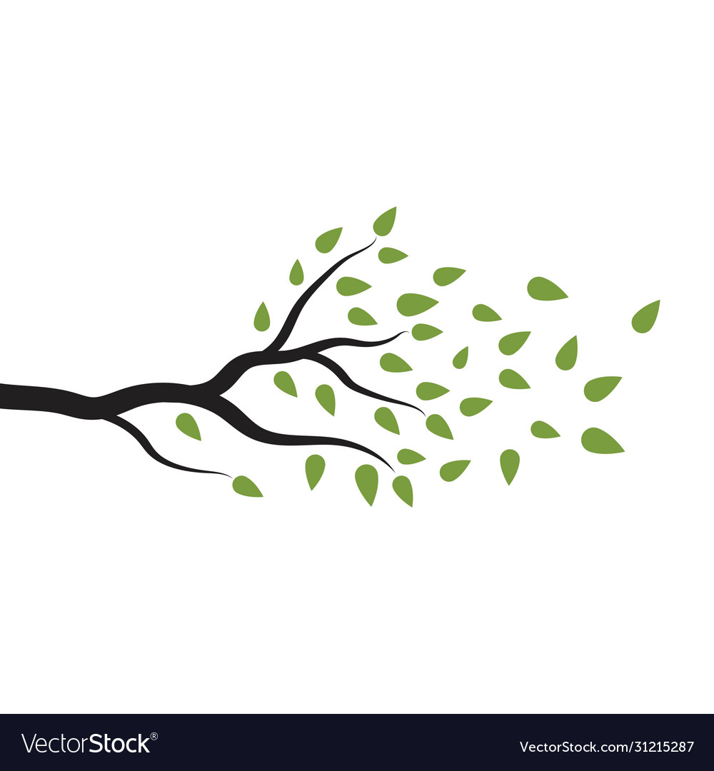 Tree branch design vector image Tree branch design