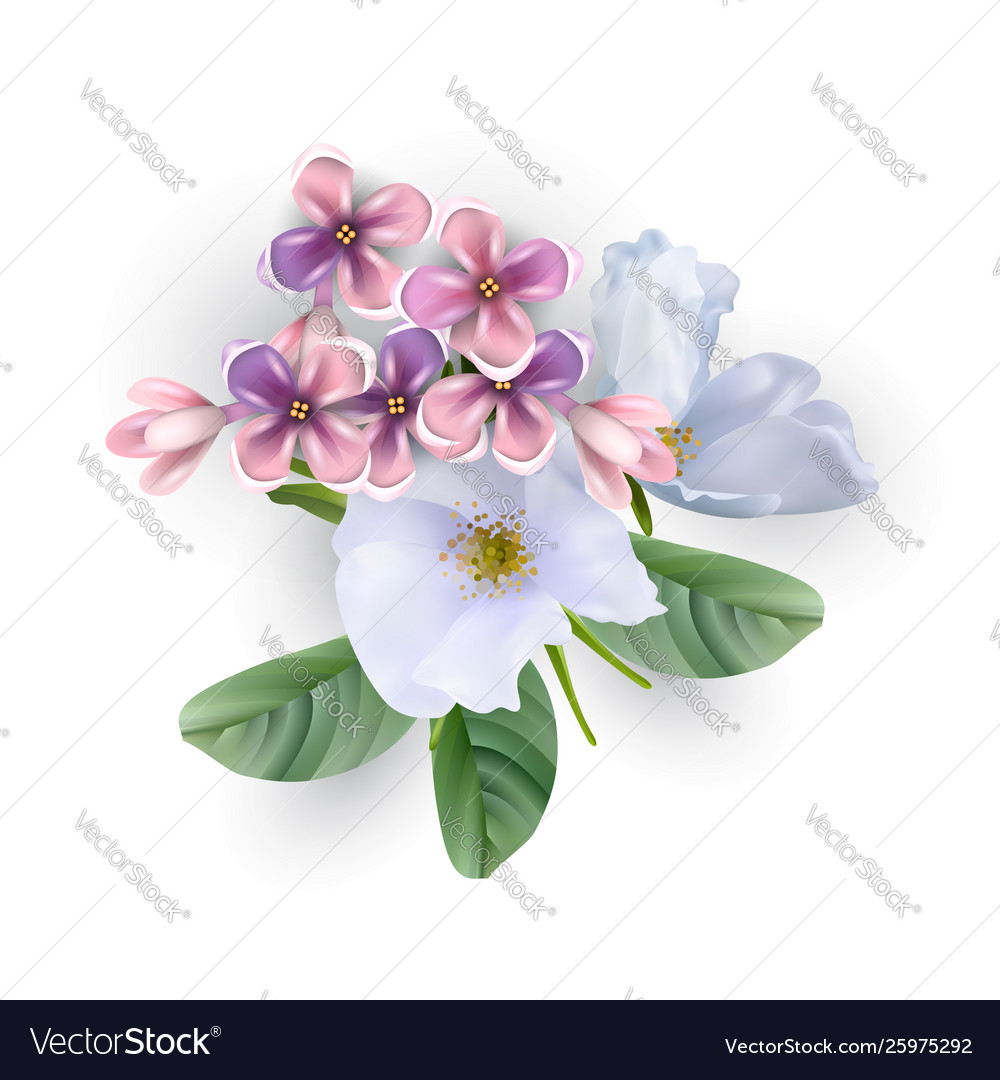 Beautiful flowers Royalty Free Vector Image - VectorStock