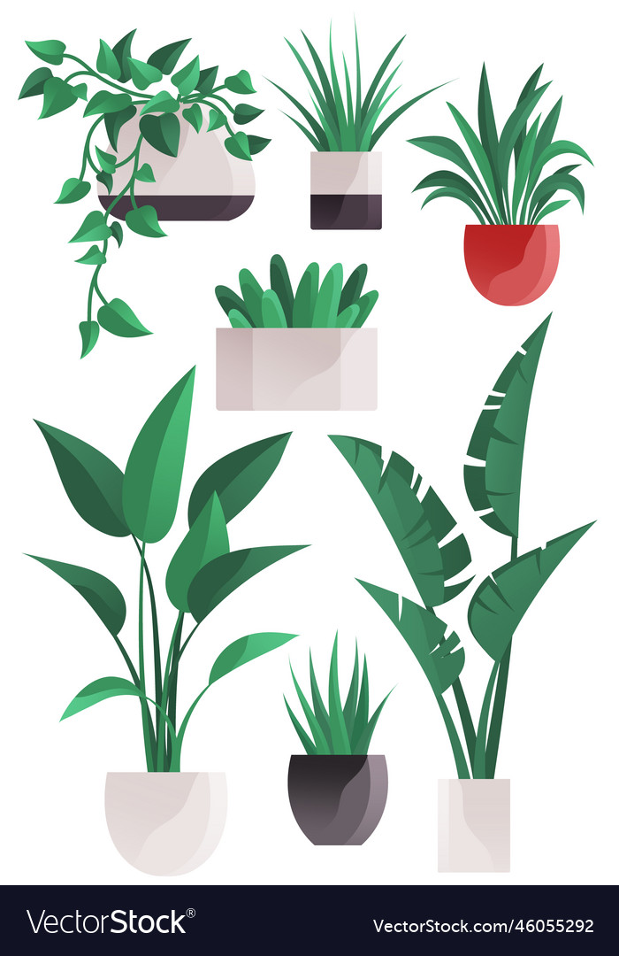 Plant in pot flowerpots set cartoon flat Vector Image Plant in pot flowerpots set cartoon flat Vector Image