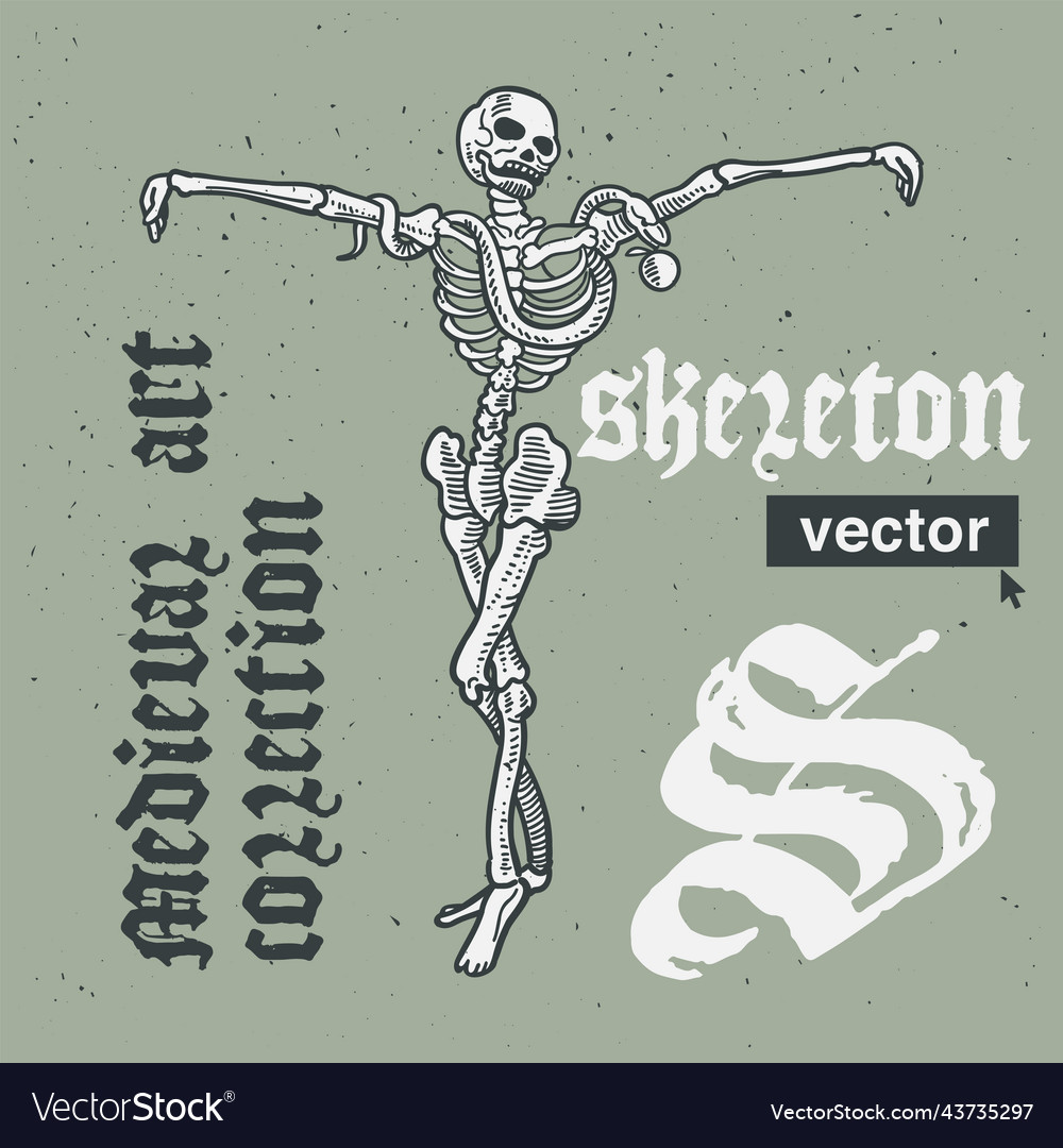 Skeleton engraving style medieval art Royalty Free Vector