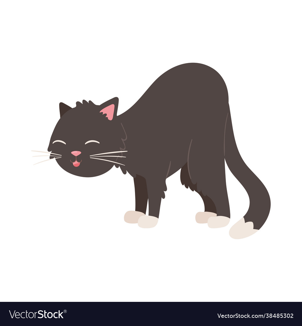 Cute black cat animal Royalty Free Vector Image