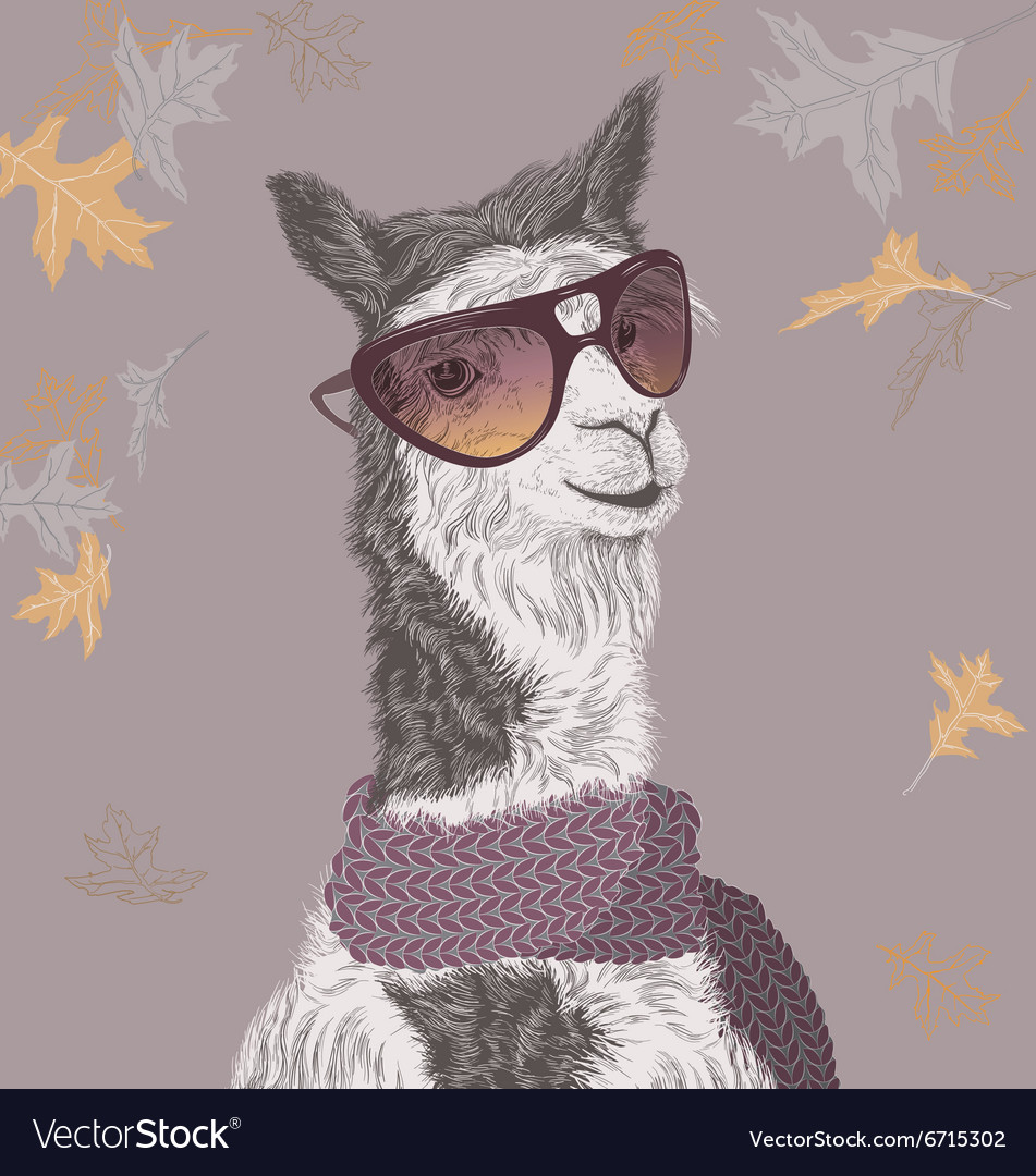 Lama on the autumn background