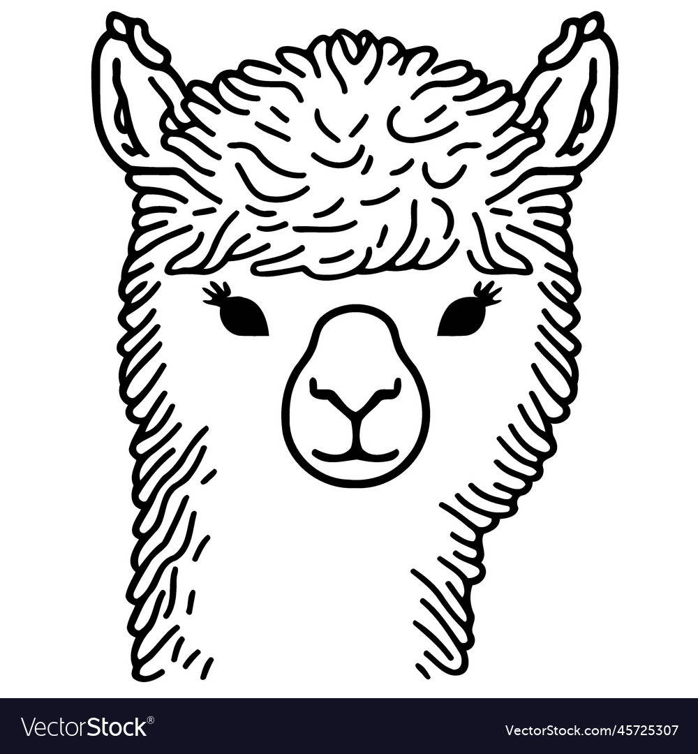 Camelid animal head called alpaca Royalty Free Vector Image