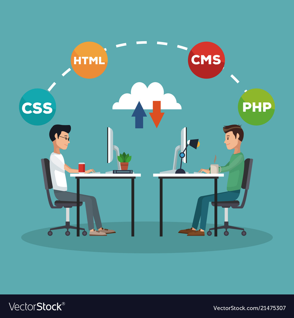 Software and programming